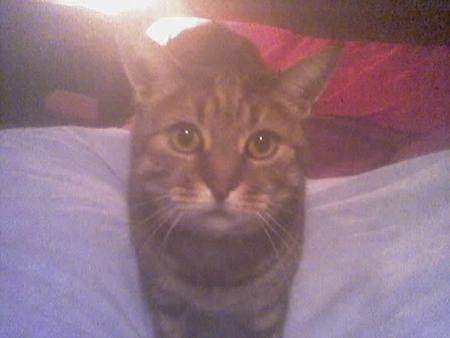 Berlioz