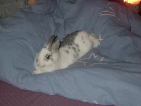 choupetta!